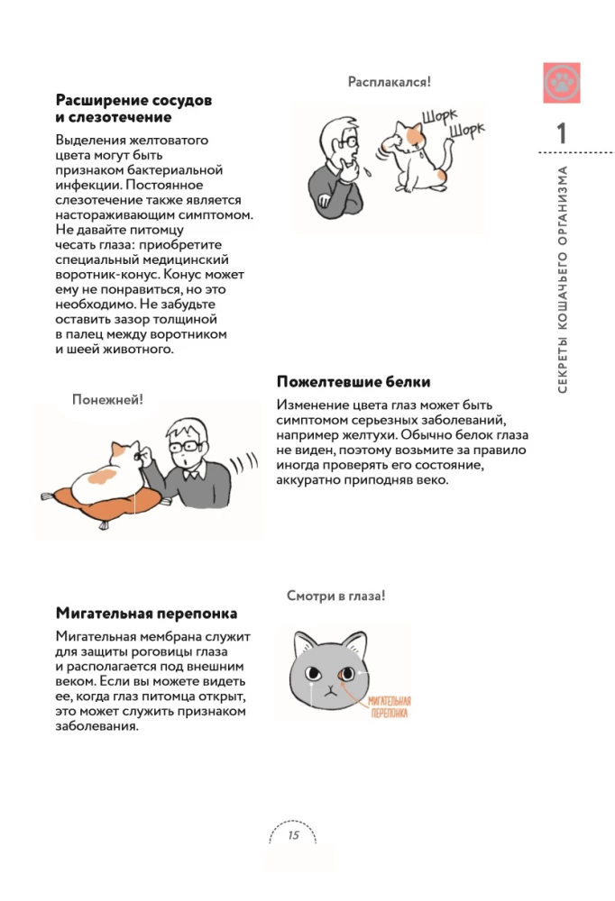 Czego chcą koty. Japoński bestseller o wychowywaniu futrzastych maluchów
