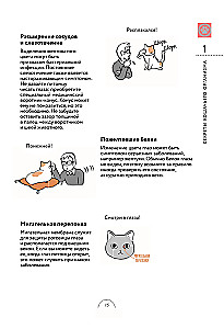 Czego chcą koty. Japoński bestseller o wychowywaniu futrzastych maluchów