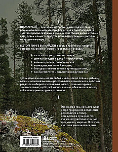 Schamanentee: Ein Jahr in Harmonie mit der Natur. Buch über Pflanzen, ihre Kräfte und Anwendungen
