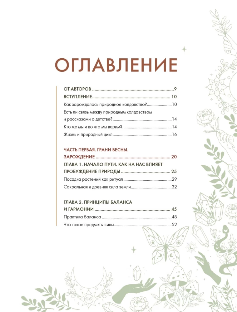 Schamanentee: Ein Jahr in Harmonie mit der Natur. Buch über Pflanzen, ihre Kräfte und Anwendungen