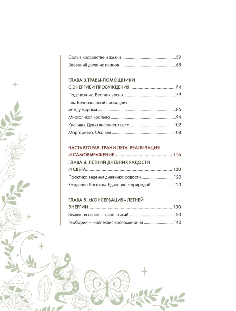 Schamanentee: Ein Jahr in Harmonie mit der Natur. Buch über Pflanzen, ihre Kräfte und Anwendungen
