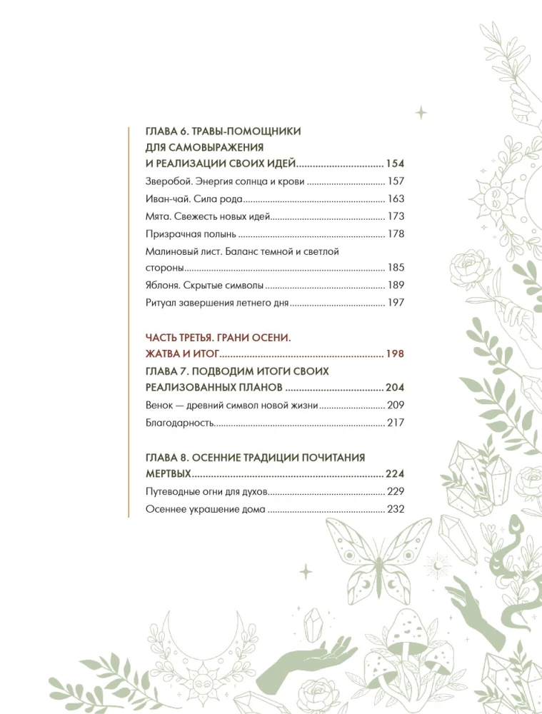 Schamanentee: Ein Jahr in Harmonie mit der Natur. Buch über Pflanzen, ihre Kräfte und Anwendungen