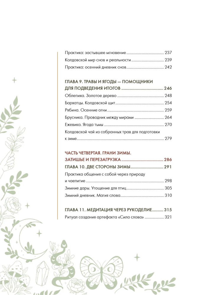 Schamanentee: Ein Jahr in Harmonie mit der Natur. Buch über Pflanzen, ihre Kräfte und Anwendungen