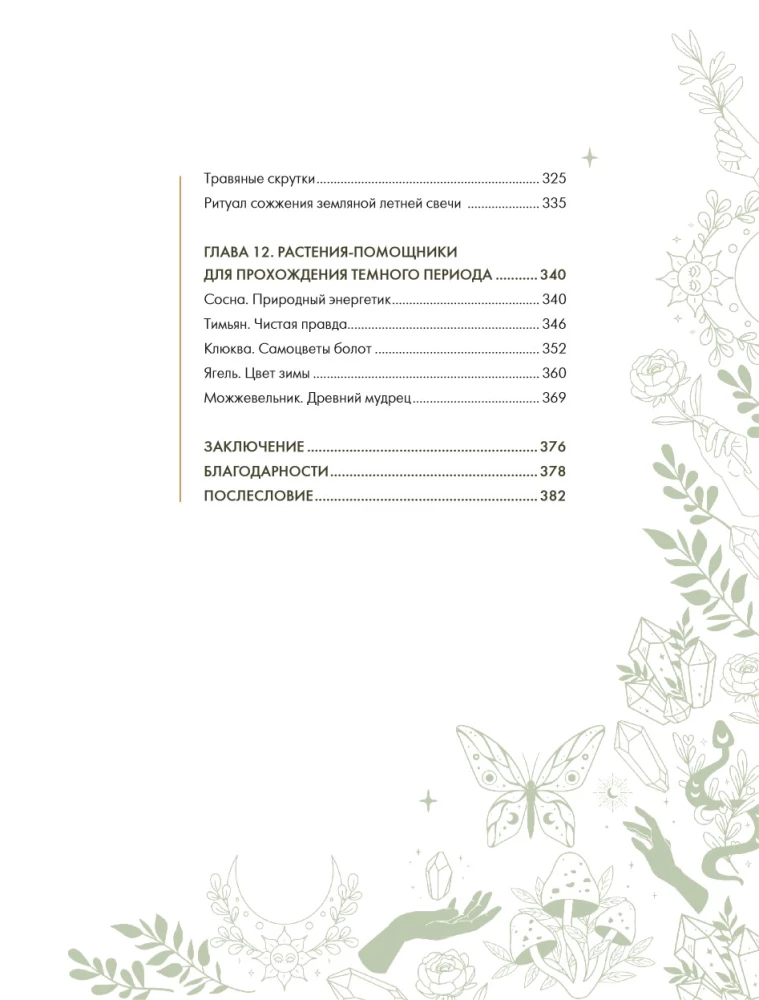 Schamanentee: Ein Jahr in Harmonie mit der Natur. Buch über Pflanzen, ihre Kräfte und Anwendungen