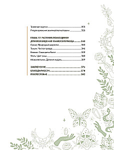 Schamanentee: Ein Jahr in Harmonie mit der Natur. Buch über Pflanzen, ihre Kräfte und Anwendungen