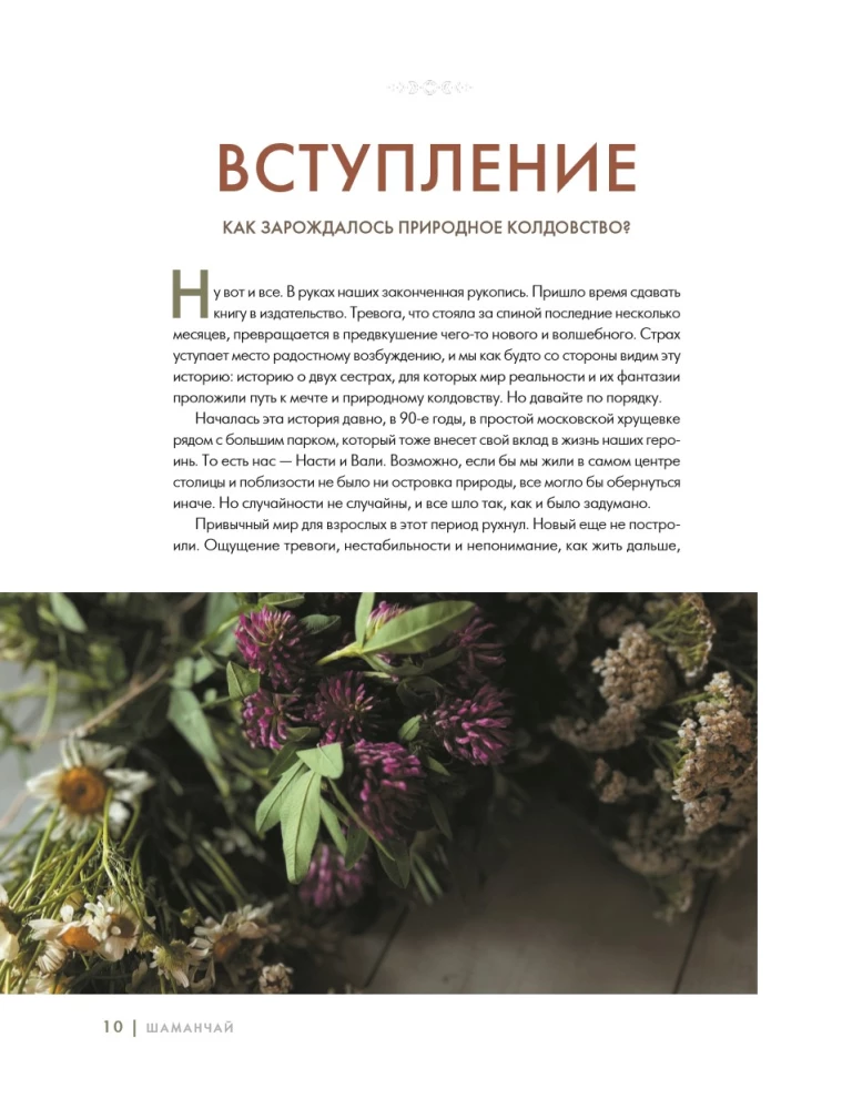 Schamanentee: Ein Jahr in Harmonie mit der Natur. Buch über Pflanzen, ihre Kräfte und Anwendungen