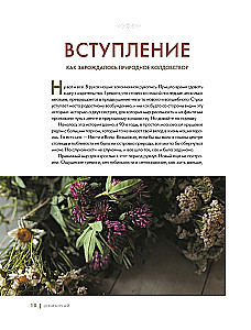 Schamanentee: Ein Jahr in Harmonie mit der Natur. Buch über Pflanzen, ihre Kräfte und Anwendungen