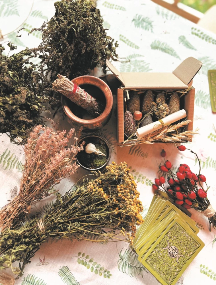 Schamanentee: Ein Jahr in Harmonie mit der Natur. Buch über Pflanzen, ihre Kräfte und Anwendungen
