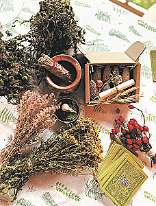 Schamanentee: Ein Jahr in Harmonie mit der Natur. Buch über Pflanzen, ihre Kräfte und Anwendungen