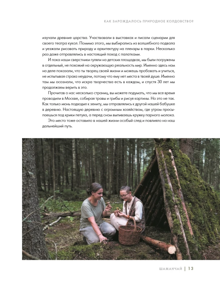 Schamanentee: Ein Jahr in Harmonie mit der Natur. Buch über Pflanzen, ihre Kräfte und Anwendungen
