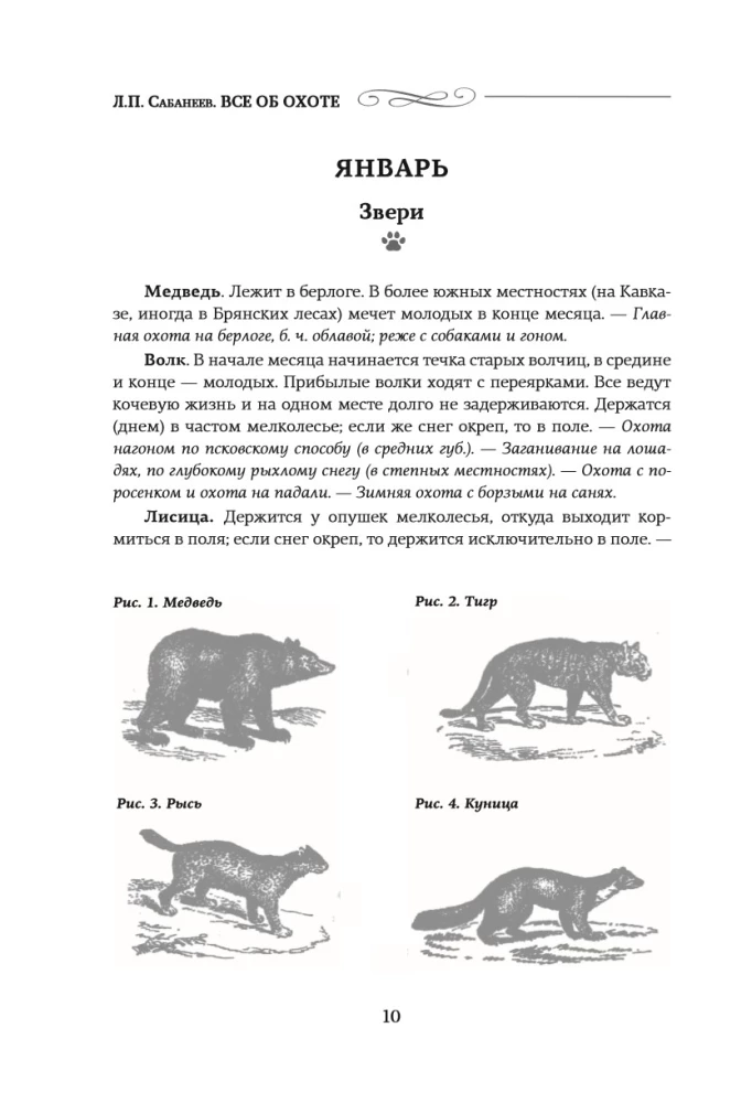 Alles über die Jagd
