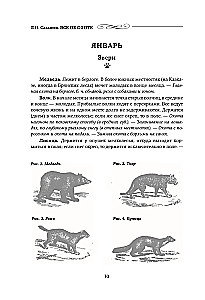 Alles über die Jagd