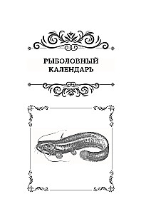 Wszystko o wędkarstwie