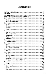Weather Forecast in the House or a Heart-to-Heart Conversation with the Home. Self-Development and Money. Book 4. Explanatory Dictionary of PsychoDOMatics