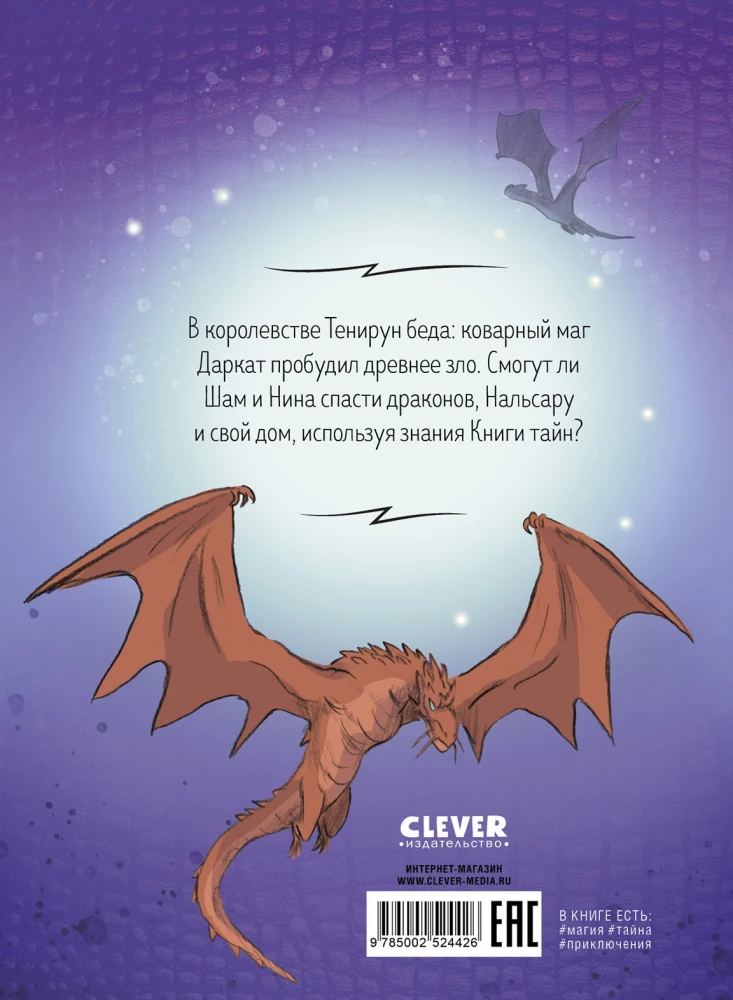 Nalsaros drakonai. Paslapčių knyga