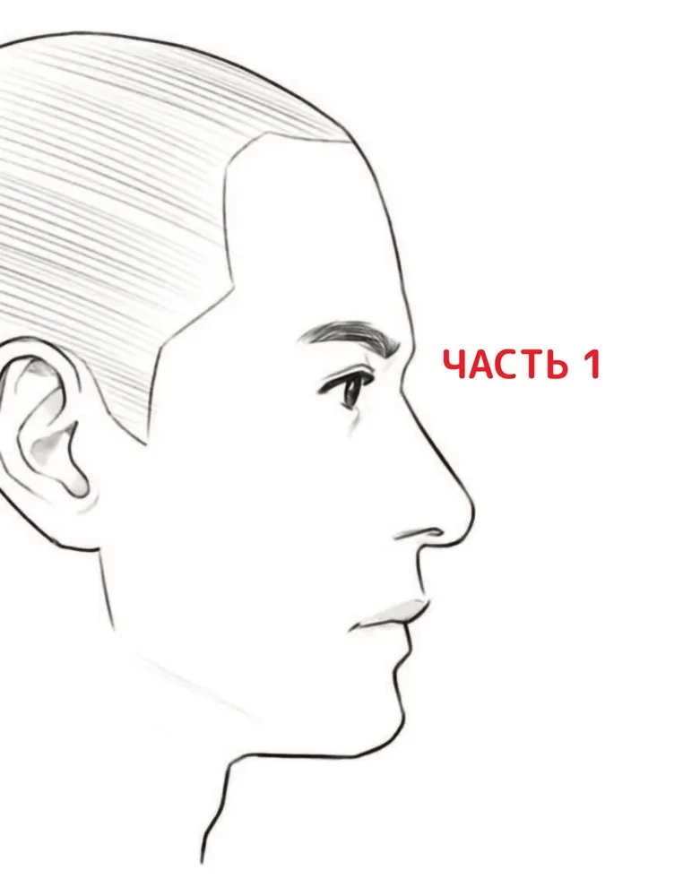 Zīmējam vebtūnu. Viegla metode, kā apgūt anatomiju