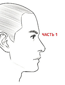 Zīmējam vebtūnu. Viegla metode, kā apgūt anatomiju