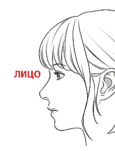 Zīmējam vebtūnu. Viegla metode, kā apgūt anatomiju