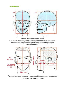 Zīmējam vebtūnu. Viegla metode, kā apgūt anatomiju
