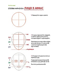 Zīmējam vebtūnu. Viegla metode, kā apgūt anatomiju