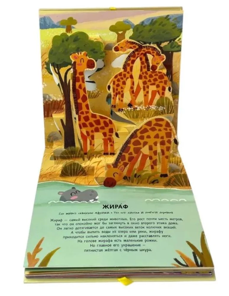 Dzīvnieki. Pop-up panorāma ar lielajiem burtiem