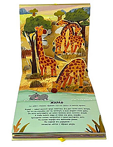 Dzīvnieki. Pop-up panorāma ar lielajiem burtiem