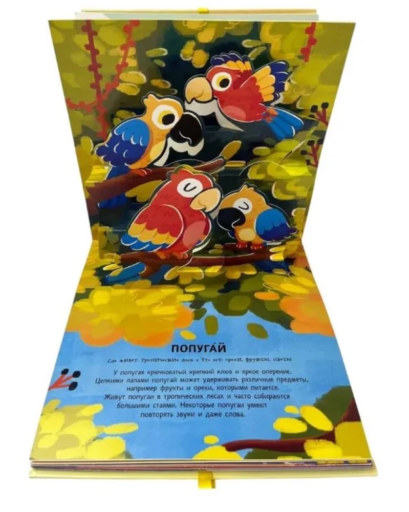 Dzīvnieki. Pop-up panorāma ar lielajiem burtiem