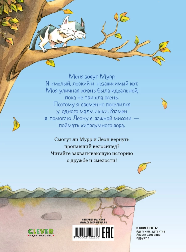Katė Murr ir dingusio dviračio paslaptis