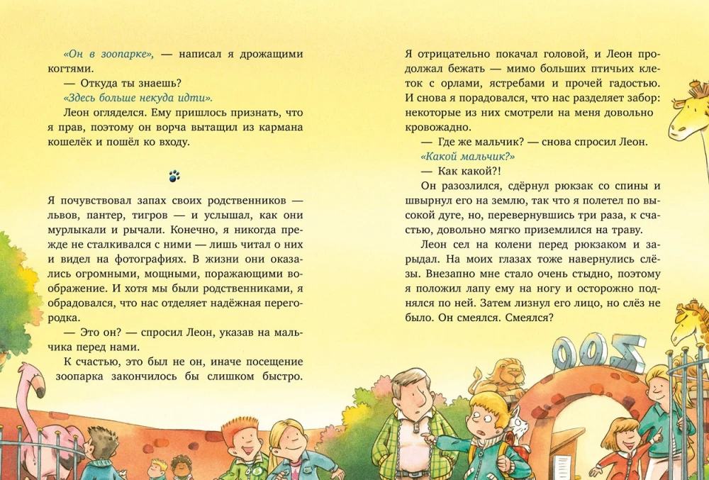 Katė Murr ir dingusio dviračio paslaptis