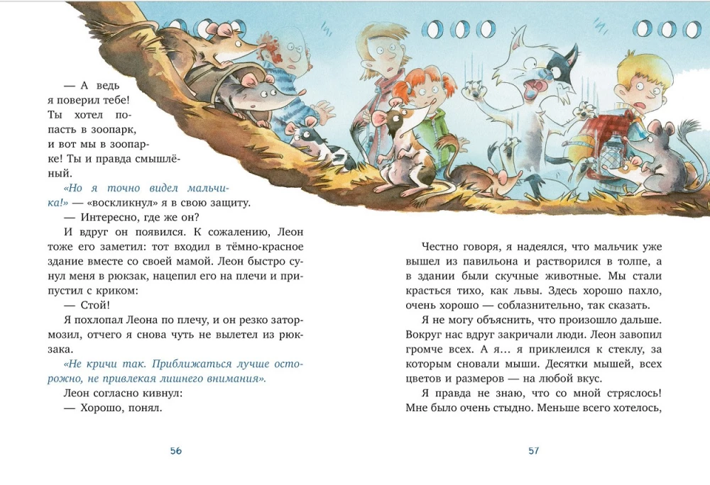 Katė Murr ir dingusio dviračio paslaptis