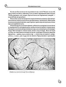 Universal History of Arts
