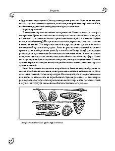 Universal History of Arts