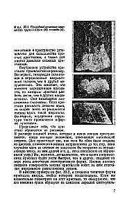 Feynman'o paskaitos apie fiziką