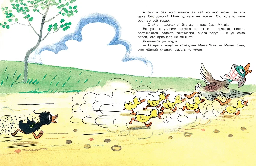 Duckling Mitya