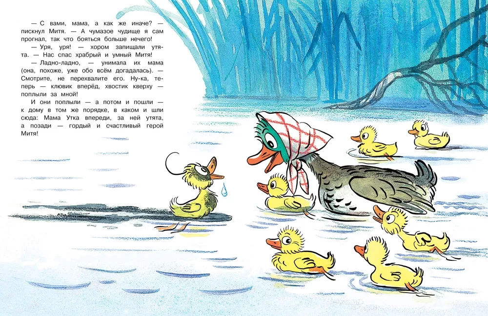 Duckling Mitya