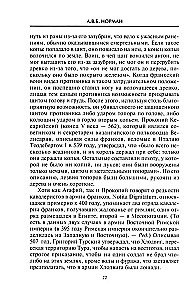 Viduramžių karys. Karolio Didžiojo ir Kryžiaus žygių laikų ginkluotė