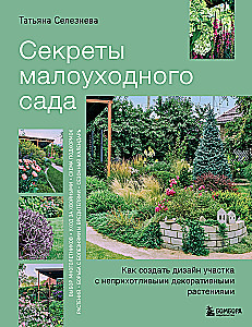 Secrets of a low-maintenance garden. How to create a design for a plot with unpretentious decorative plants