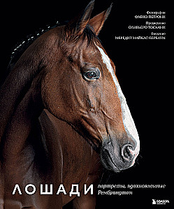 Horses. Portraits Inspired by Rembrandt. Exclusive Photo Album