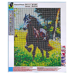 Deimantinė mozaika ARKLIS-2, dydis išdėstymo 20x25 cm