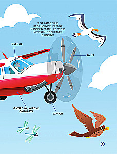 Airplanes