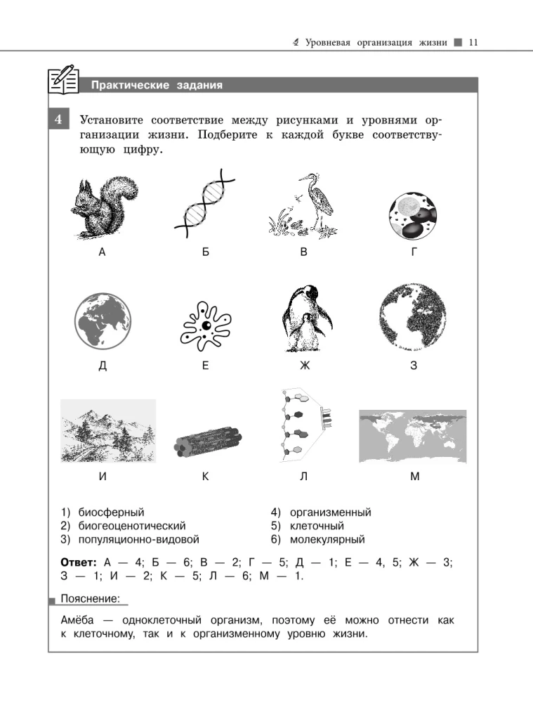 Biologia
