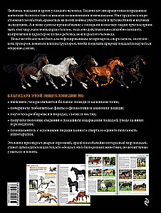 Konie. Najpełniejsza ilustrowana encyklopedia