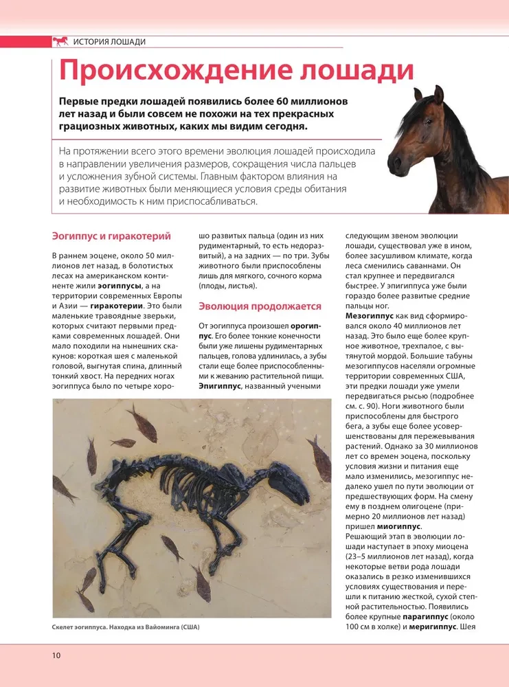 Konie. Najpełniejsza ilustrowana encyklopedia