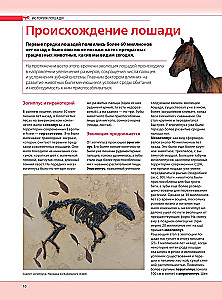 Konie. Najpełniejsza ilustrowana encyklopedia
