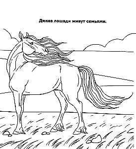 Ponių ir arkliukų