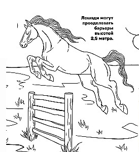 Ponių ir arkliukų