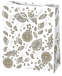 Dāvanu soma 19x23x10.5 cm, dažādās krāsās