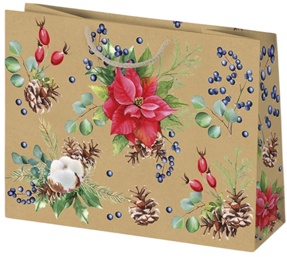 Dāvanu maisiņš 30x20x10 cm, dažādās krāsās