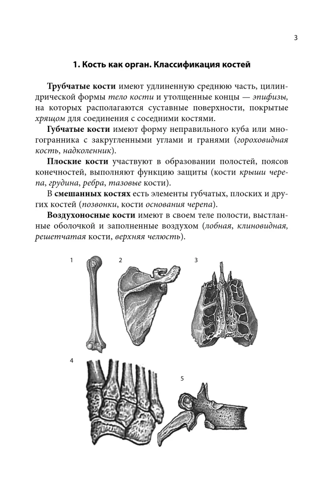 Notatnik-podpowiedź z anatomii