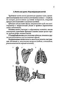 Notatnik-podpowiedź z anatomii